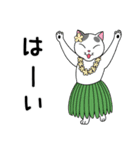 うちの子ハチワレねこ5 夏のハチワレねこ（個別スタンプ：11）