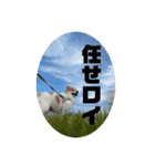 GNKT（個別スタンプ：14）