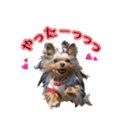 トッポとアポロの日常1（個別スタンプ：9）