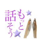 めだか！！！！！（個別スタンプ：5）