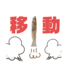 めだか！！！！！（個別スタンプ：11）