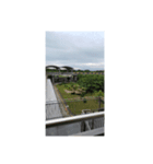 フィリピンセブ島おもひで編①（個別スタンプ：6）
