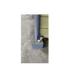 フィリピンのちっちゃい子猫（個別スタンプ：2）