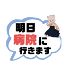 病院④くま好き 通院 家族友達連絡 大文字（個別スタンプ：4）