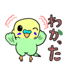 セキセイインコのかわいい あいさつ（個別スタンプ：11）