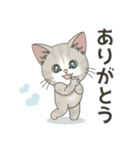 よく使う言葉だらけ【仔猫のぽんにゃん】（個別スタンプ：1）