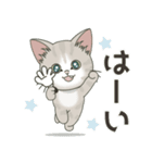 よく使う言葉だらけ【仔猫のぽんにゃん】（個別スタンプ：10）