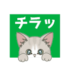 よく使う言葉だらけ【仔猫のぽんにゃん】（個別スタンプ：30）