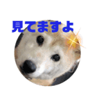 みんなと一緒 24（個別スタンプ：8）