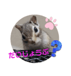 みんなと一緒 24（個別スタンプ：12）