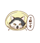 しらさぎ動物病院スタンプ（個別スタンプ：1）