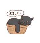 しらさぎ動物病院スタンプ（個別スタンプ：4）
