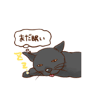 しらさぎ動物病院スタンプ（個別スタンプ：6）