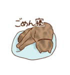 しらさぎ動物病院スタンプ（個別スタンプ：8）