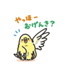 セキセイインコスタンプ 黄色（個別スタンプ：1）