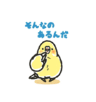 セキセイインコスタンプ 黄色（個別スタンプ：11）