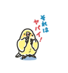 セキセイインコスタンプ 黄色（個別スタンプ：15）