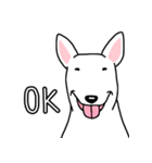 犬種別ブルテリア(英語Ver)（個別スタンプ：8）