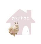 ちゃいちゃんスタンプ slow（個別スタンプ：17）