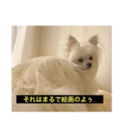 字幕犬 やや使いやすいver2(かわいーぬ)（個別スタンプ：18）