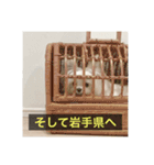 字幕犬 やや使いやすいver2(かわいーぬ)（個別スタンプ：25）