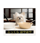 字幕犬 やや使いやすいver2(かわいーぬ)（個別スタンプ：40）