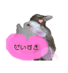うさぎーず☆（個別スタンプ：1）