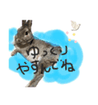 うさぎーず☆（個別スタンプ：2）