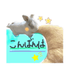 うさぎーず☆（個別スタンプ：6）