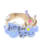 うさぎーず☆（個別スタンプ：7）