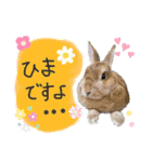 うさぎーず☆（個別スタンプ：8）