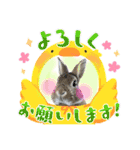 うさぎーず☆（個別スタンプ：20）