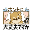 柴犬・ちゃちゃ丸 43『気持ちを伝える』（個別スタンプ：18）