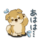 柴犬・ちゃちゃ丸 43『気持ちを伝える』（個別スタンプ：29）