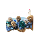 5兄弟わんこの挨拶スタンプ（個別スタンプ：2）