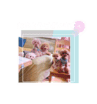 5兄弟わんこの挨拶スタンプ（個別スタンプ：3）