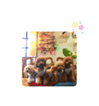 5兄弟わんこの挨拶スタンプ（個別スタンプ：4）