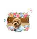 5兄弟わんこの挨拶スタンプ（個別スタンプ：10）