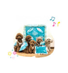 5兄弟わんこの挨拶スタンプ（個別スタンプ：13）