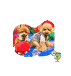 5兄弟わんこの挨拶スタンプ（個別スタンプ：15）