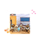 5兄弟わんこの挨拶スタンプ（個別スタンプ：16）