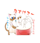 シロ猫とシャム猫（個別スタンプ：21）