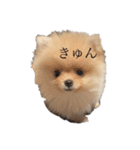 コタローくん。（個別スタンプ：23）