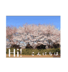 風景写真でご挨拶(日本語と英語)（個別スタンプ：1）