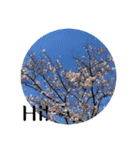 風景写真でご挨拶(日本語と英語)（個別スタンプ：3）