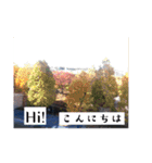 風景写真でご挨拶(日本語と英語)（個別スタンプ：5）