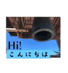 風景写真でご挨拶(日本語と英語)（個別スタンプ：8）
