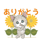 元気に夏スタンプ！【仔猫のぽんにゃん】（個別スタンプ：1）