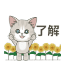 元気に夏スタンプ！【仔猫のぽんにゃん】（個別スタンプ：3）