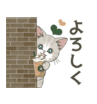 元気に夏スタンプ！【仔猫のぽんにゃん】（個別スタンプ：4）